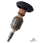 Induzido para Martelo Bosch 11316 / Gsh 11e DONG CHENG - 220v Induzido para Martelo Bosch 11316 / Gsh 11e DONG CHENG - 220v