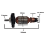 Induzido 220v Martelo Rompedor GBH 2-24d Bosch F000605184 Induzido 220v Martelo Rompedor GBH 2-24d Bosch F000605184