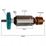 Induzido para Serra Mármore Bosch 1548 / 1E48 / GDC 14-40 - 110v Induzido para Serra Mármore Bosch 1548 / 1E48 / GDC 14-40 - 110v